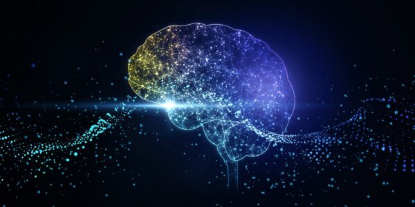 Neuroticism is linked to altered communication between the brain’s emotional networks