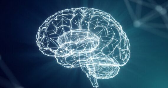 Teenage brains process mechanical and academic skills differently across the sexes