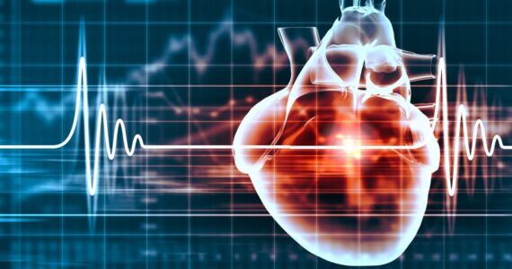 Fascinating new research reveals your heart rate drops when your brain misperceives the world