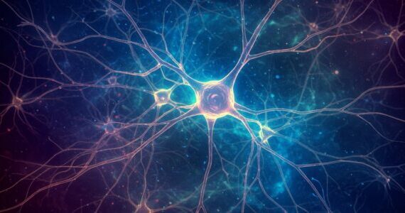 Lab-grown brain models reveal unique electrical patterns in different types of autism