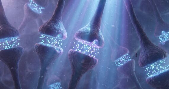 Neuroscientists just upended our understanding of Pavlovian learning