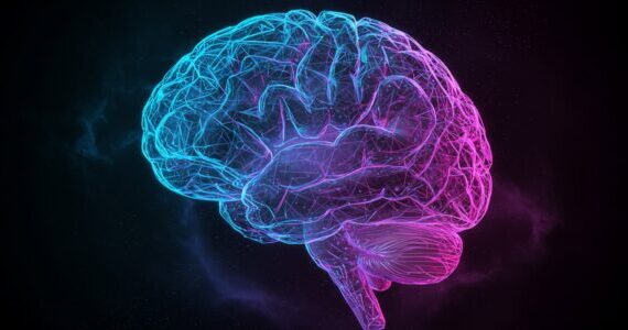 More time spent on social media is linked to a thinner cerebral cortex in young adolescents