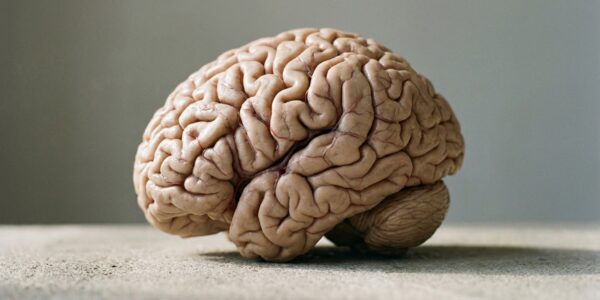 Why some neuroscientists now believe we have up to 33 senses