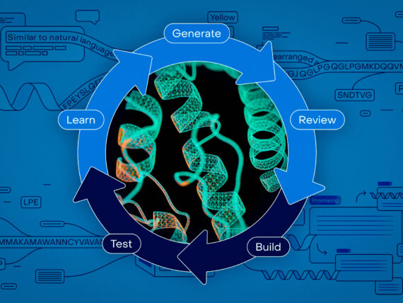 Bringing AI-driven protein-design tools to biologists everywhere