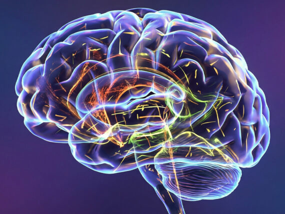 Brain reactions to fearful faces predict psychiatric hospitalization risk