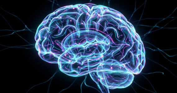 Fetal brain scans can predict a toddler’s vocabulary size years before they learn to speak