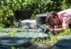 The Hortus as a living lab: new technology reveals hidden relationships between species